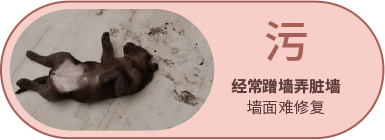 南宫NG28(中国区)相信品牌的力量官网